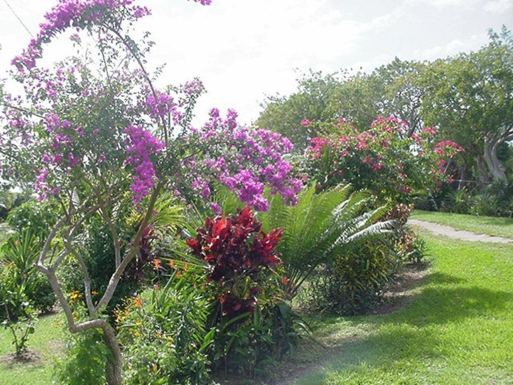 Great Escape&Breakfast Inn Vieques Exterior foto
